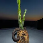 بيت ضيافة Pietra Santa 4*
